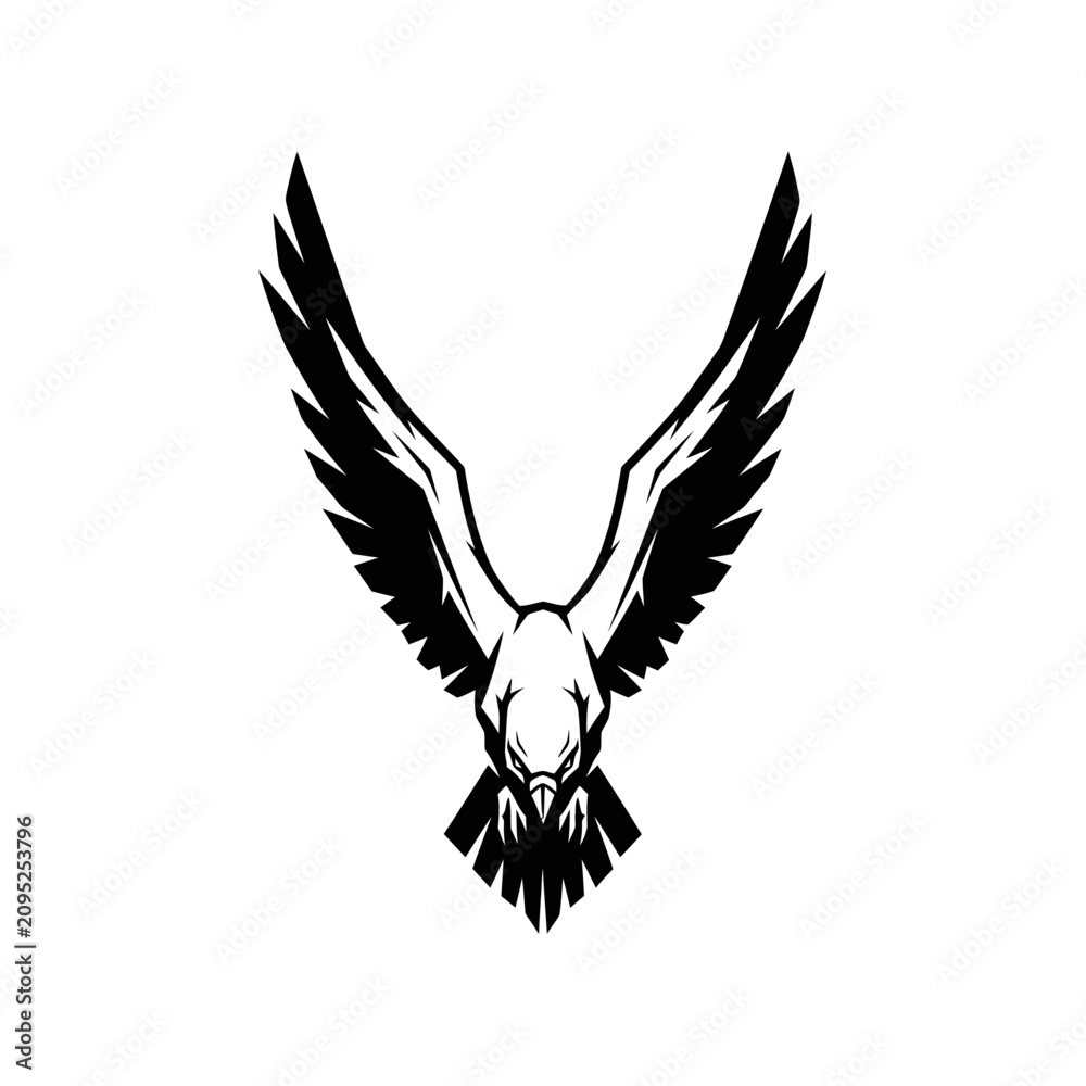 Fototapeta premium Aggressive Eagle Talon Dive Black White Vector Graphic