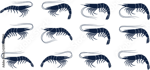 Elegant krill minimal vector collection featuring simplified segmented geometry and side profiles for marine art