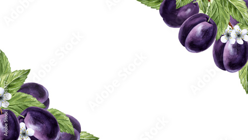 Blue plums with leaves and flower watercolor card template. Fruits background hand drawn illustration for healthy eating design. Organic food for packaging jam, skincare, home textile, greeting card.