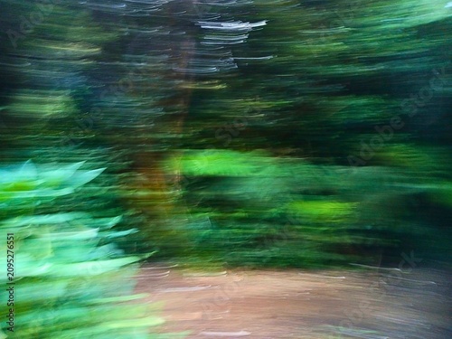 Bild auf Leinwand intentional camera movement photography of forest landscape