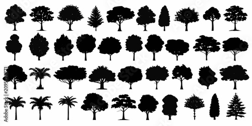 Photos black tree silhouettes on white background silhouette forest nature landscape gr