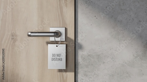 A modern door handle on a wooden door with a 