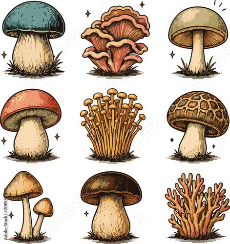 Fotografía Vintage Mushroom Icon Set in Retro Flat Vector Style Vol. 2