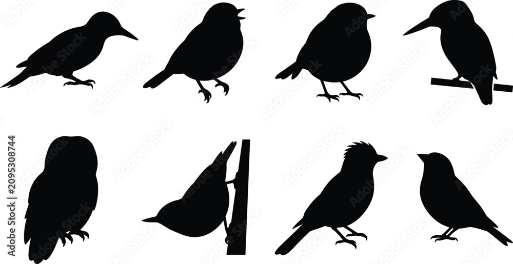 Fototapeta premium Small Songbird Silhouette Collection with Sparrow Robin Wren Owl and Perching Bird Vector Set