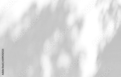 Abstract shadow of leaves on a white wall, overlay effect for photo, mock up, product, wall art, design on a transparent background