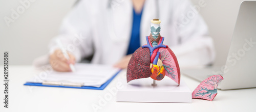 Doctor with Respiratory system anatomy for Diseases. Lung Cancer, Asthma, Chronic Obstructive Pulmonary or COPD, Bronchitis, Emphysema, Cystic Fibrosis, Bronchiectasis, Pneumonia and Pleural Effusion