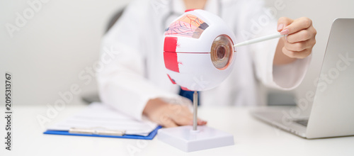 Canvastavla Doctor with human Eye anatomy model with magnifying glass