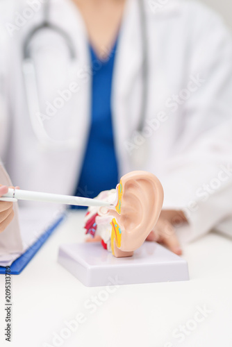 Doctor with human Ear anatomy model. Ear disease, Atresia, Otitis Media, Pertorated Eardrum, Meniere syndrome, otolaryngologist, Ageing Hearing Loss, Schwannoma and Healthcare medical concept