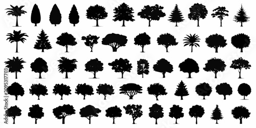Tableau sur toile detailed black tree silhouettes on white background forest plants nature botanic