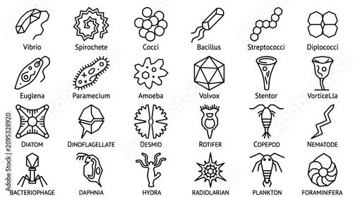 Bild auf Leinwand Microorganism Outline Collection Bacteria Protozoa Algae Icon Art