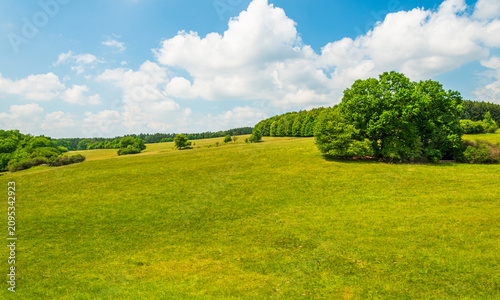 Fotografía Summer meadow landscape near Segelflugplatz Amberg Bavaria Germany