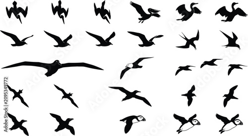Foto Comprehensive set of seabird silhouettes in flight including seagulls, pelicans,