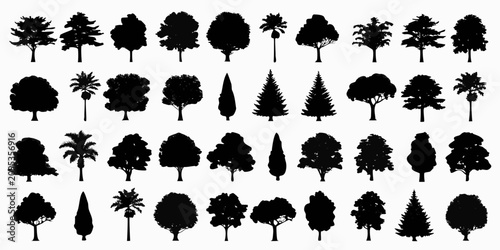 Photos black tree silhouettes on white background silhouette forest nature landscape gr
