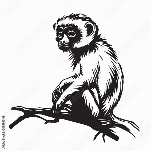 Photos Vervet Monkey Sitting on Tree Branch Watching Surroundings Vector Illustration