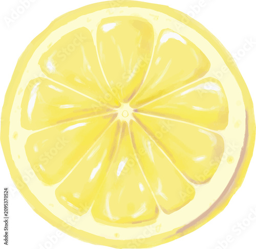 Fényképezés Fresh Lemon Slice Vector Illustration Isolated on White Background