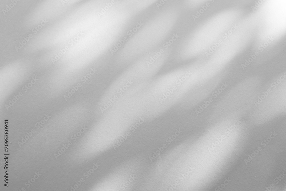 Obraz premium Abstract natural tree branch leaves shadow on white wall background