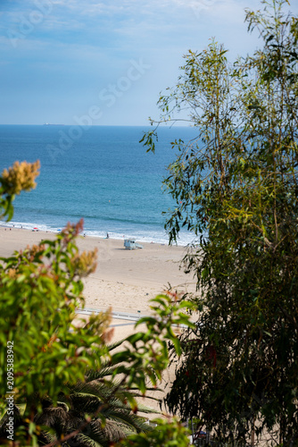 View of Santa Monica beach with ocean waves and lifeguard tower through trees