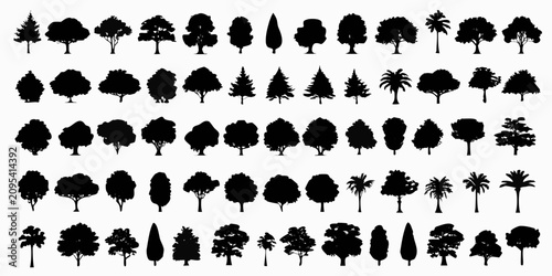 Tableau sur toile detailed black tree silhouettes on white background silhouette forest nature lan