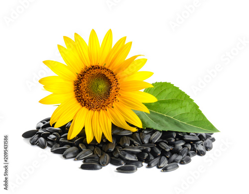 Heap of sunflower seed with leaf on white background