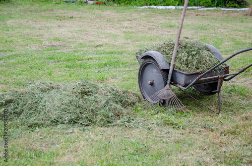 Bild auf Leinwand Wheelbarrow and Rake with Cut Grass on Lawn