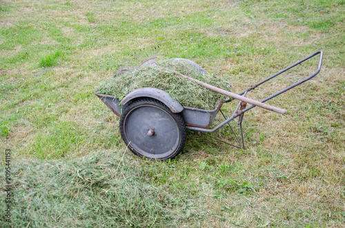Wheelbarrow and Rake with Cut Grass on Lawn