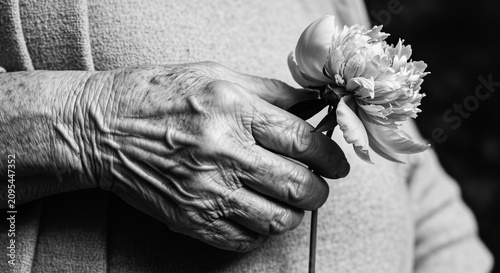 Black-and-white close-up of an old woman's hand clasping a wilted peony, high-contrast texture