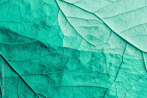 Seamless abstract leaf texture background in teal for organic design wallpaper and nature inspired surface pattern