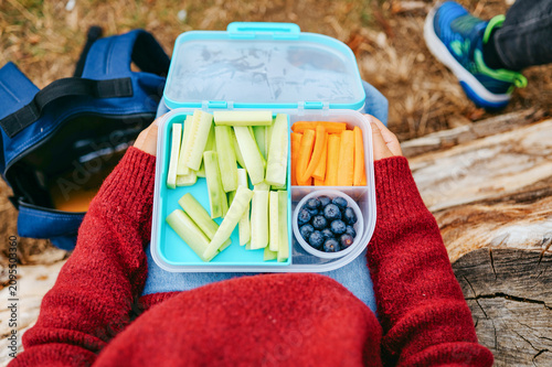 Overhead view of healthy packed lunch box