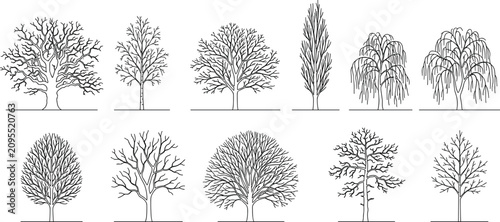 Foto Tree line drawings showing diverse branching morphologies and silhouettes for bo