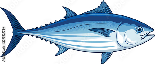 фотографія Blue tuna fish vector illustration isolated on white background skipjack seafood
