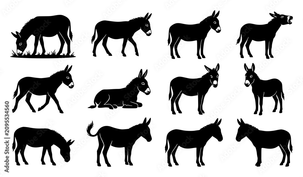 Obraz premium Donkey Silhouette Vector Set with Grazing Walking Standing and Braying Farm Animal Poses