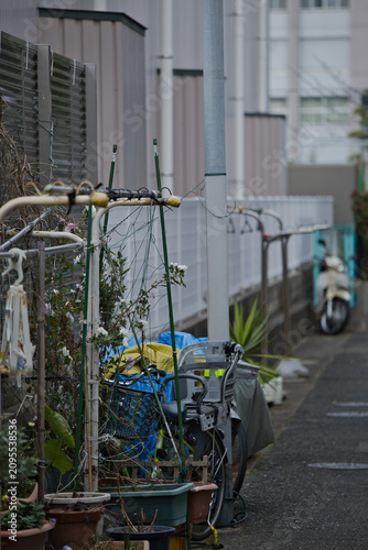 Fotografie 田舎の路地裏