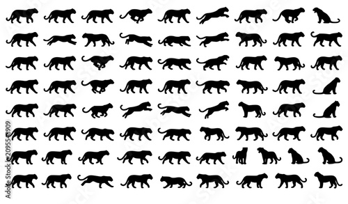 Canvas Print Black Leopard Vector Silhouette Collection with Elegant Wild Cat Wildlife Icons
