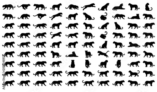 Canvas Print Leopard Silhouette Vector Set with Sleek Wild Cat Poses for Safari and Logo Desi