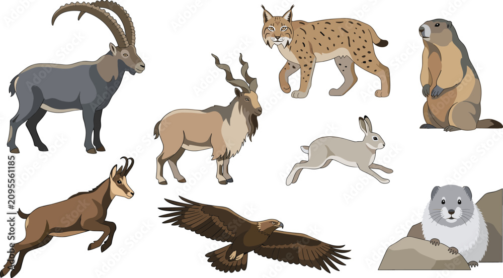 Obraz premium Mountain Wildlife Animal Vector Set Featuring Alpine Ibex, Markhor, Lynx, Marmot, Chamois, Hare, Golden Eagle, and Pika Illustration Collection