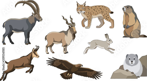 Bild auf Leinwand Mountain Wildlife Animal Vector Set Featuring Alpine Ibex, Markhor, Lynx, Marmot