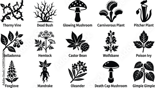 Set of various plant silhouettes isolated on transparent background mystical and dangerous herbs.
