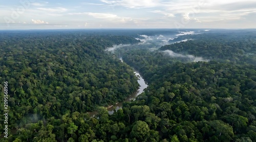 Expansive lush green forest canopy with winding river and wisps of fog
