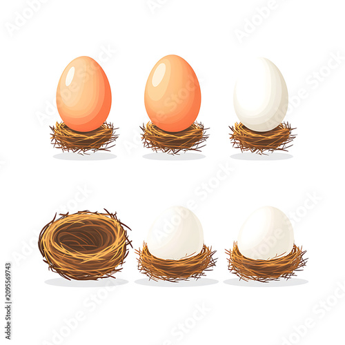 Cute bird flat vector illustration, colorful cartoon bird isolated on white background