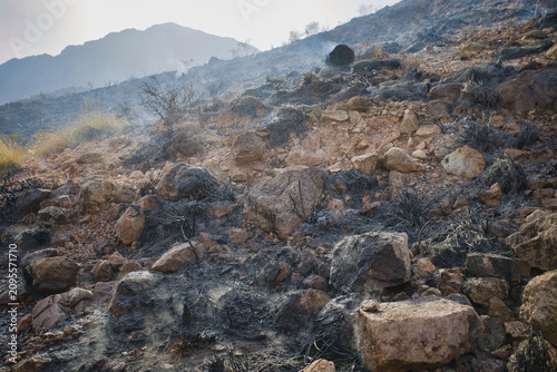 Burnt rocks dot a rugged, ash-covered hillside. Smoke lingers faintly in the hazy sky. Desolation follows the wildfire's fierce passage. Nature's resilience blooms from scorched earth