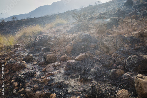 Burnt earth lingers after wildfire's fierce pass. Smoke curls upward from scorched, rocky terrain. Dead grass and twisted branches mark the devastation. Rocks lie scattered amid the charred landscape
