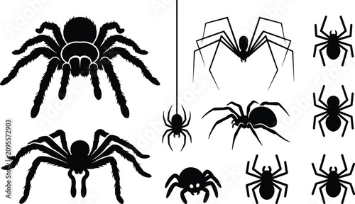 Photos Creepy Spider Silhouette Bundle Featuring Hairy Tarantulas Black Widows Long Leg