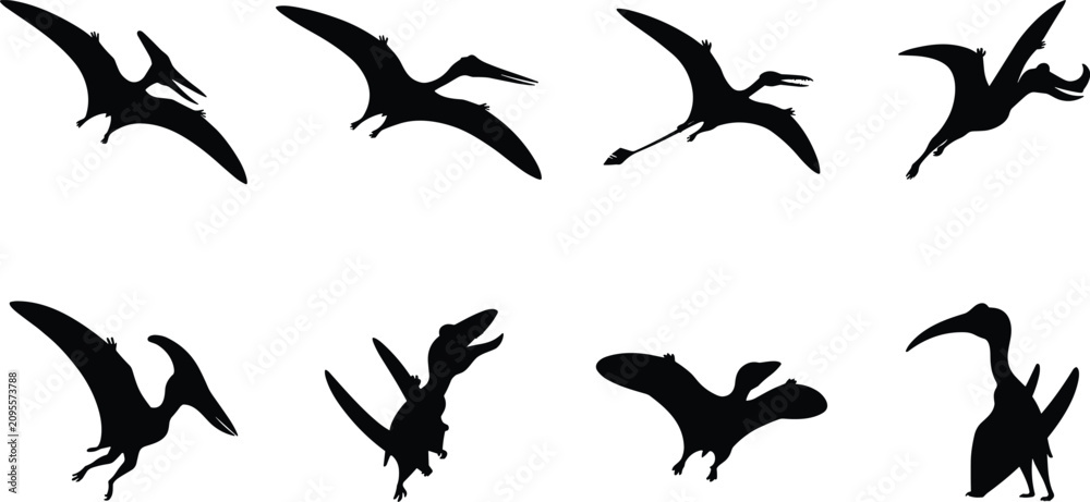Fototapeta premium Pterodactyl Dinosaur Silhouette Set with Flying Prehistoric Reptiles Vector Collection
