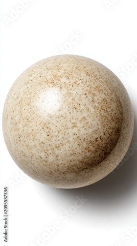 A Single Natural Bird Egg on a White Background