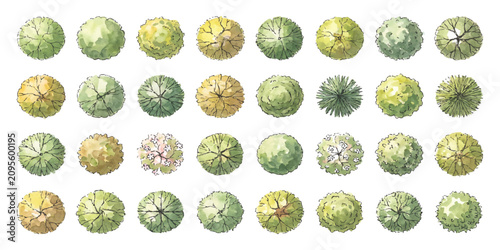 Bild auf Leinwand Set of top view tree icons for landscape design architectural plan and garden si