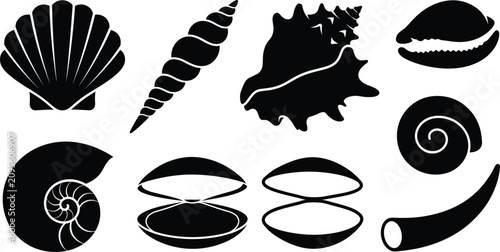 Bild auf Leinwand Sea shells and marine conch vector icons set for summer beach ocean nature aquat
