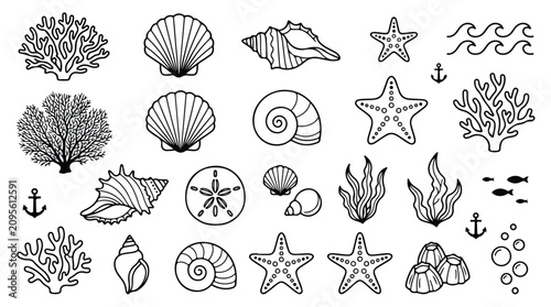 Canvas Print Minimalist seashell line art collection, nautical ocean life icons set, black an