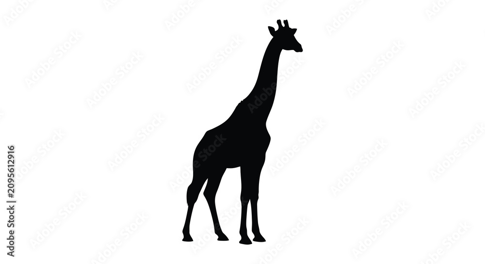 Fototapeta premium A giraffe standing in profile depicted as a black silhouette animal