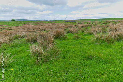 Cuadro en lienzo A wide-angle view of a vast, grassy moorland under a cloudy sky