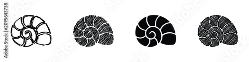 Tableau sur toile Four distinct artistic interpretations of an ammonite shell, ranging from a sket
